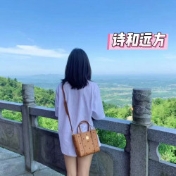 Pitt Bag for Puppy Dry-Comb Basket