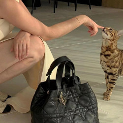 A toujours toujours Shopping Basket